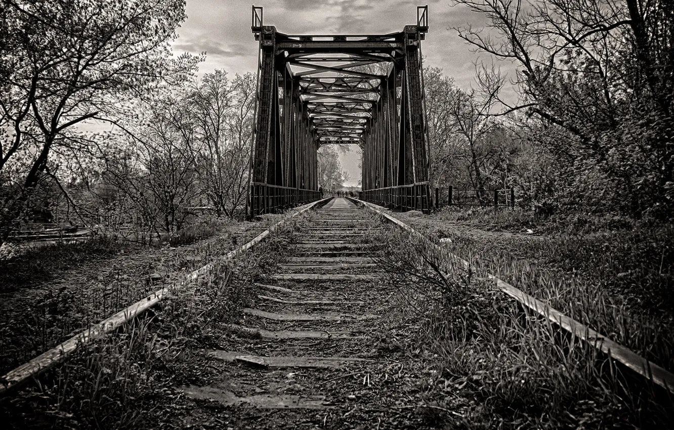 Фото обои дорога, мост, путь, рельсы, 1920x1080