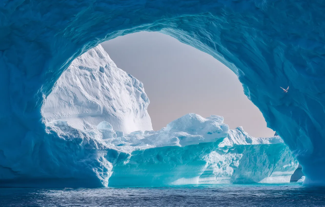Фото обои море, ледник, север