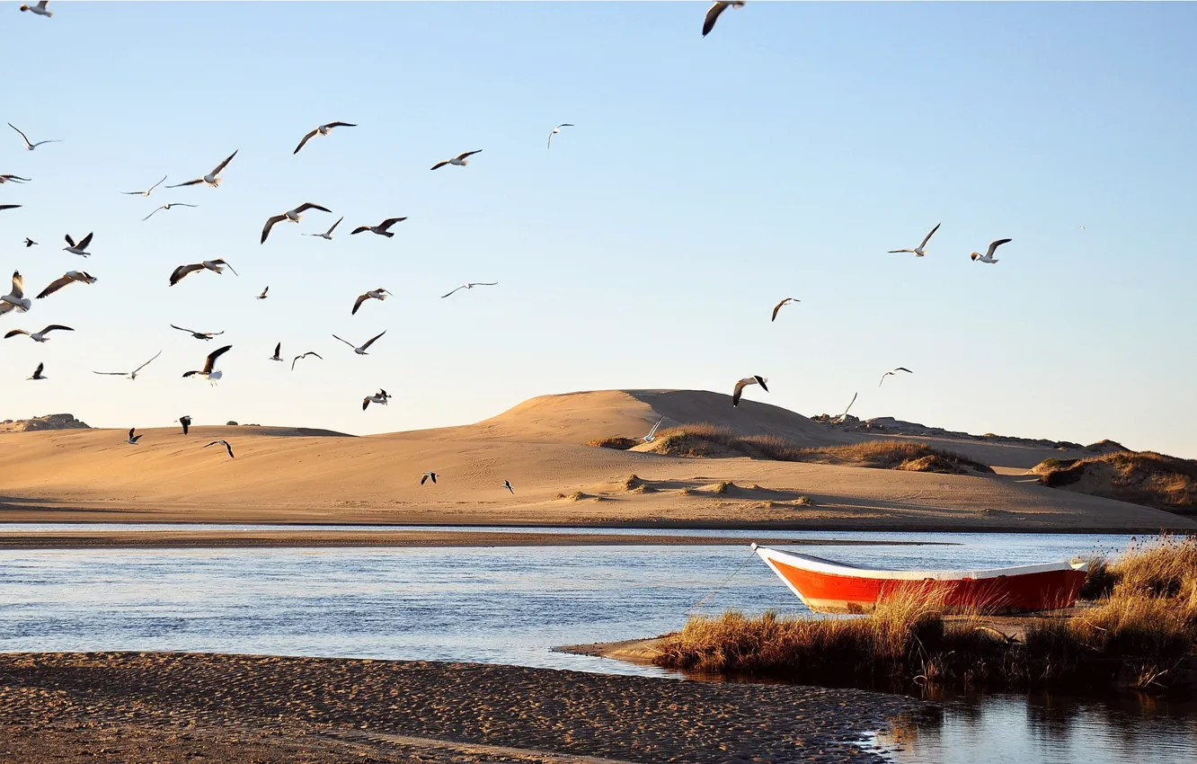 Фото обои песок, вода, птицы, река, лодка, дюны, мель