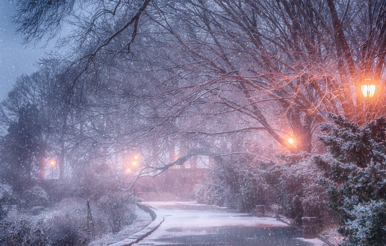 Фото обои зима, снег, деревья, парк, фонари, дорожка, Yury Lugansky