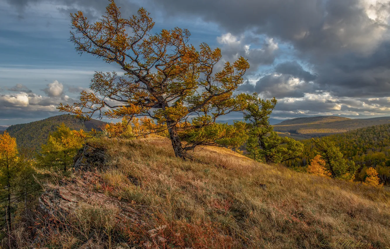 Фото обои осень, облака, деревья, пейзаж, природа, холмы, склон, Александр Макеев