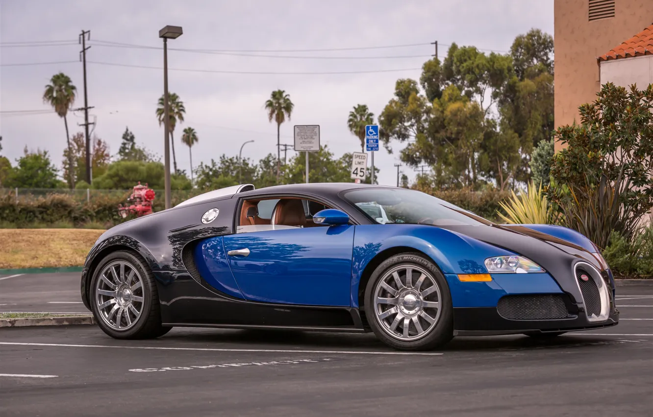 Фото обои veyron, bugatti, black, blue, parking
