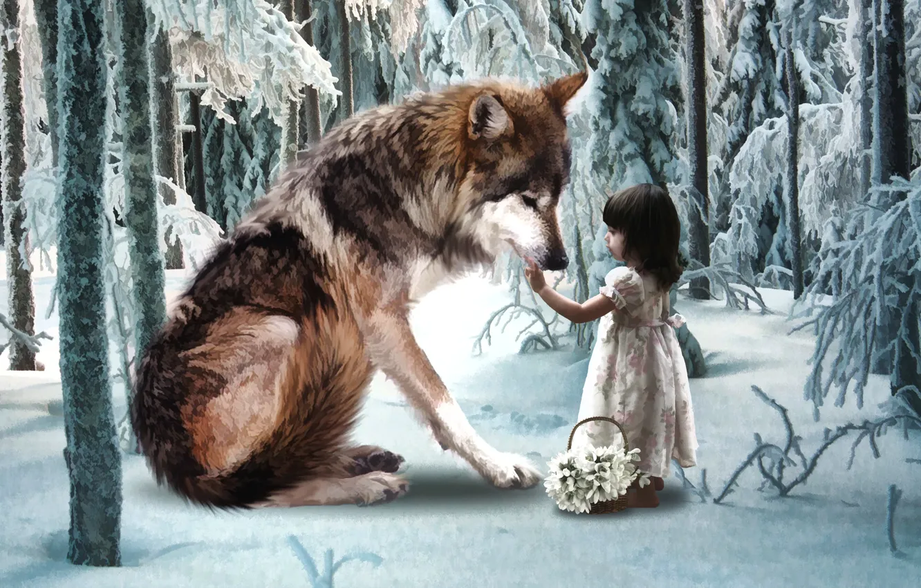 Фото обои зима, иней, лес, снег, волк, сказка, подснежники, девочка