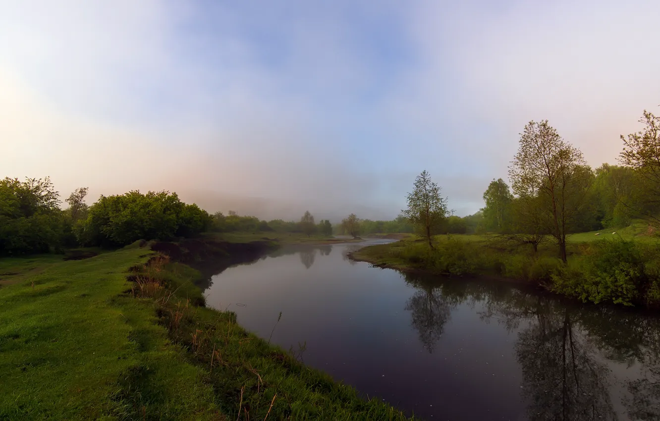 Фото обои зелень, лес, лето, небо, трава, вода, облака, деревья
