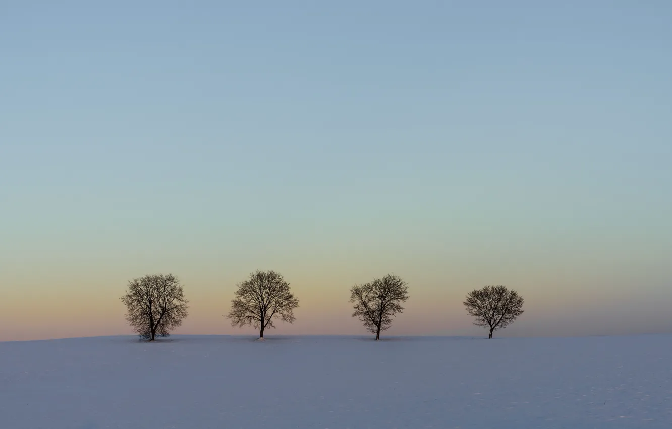 Фото обои зима, поле, снег, деревья, пейзаж