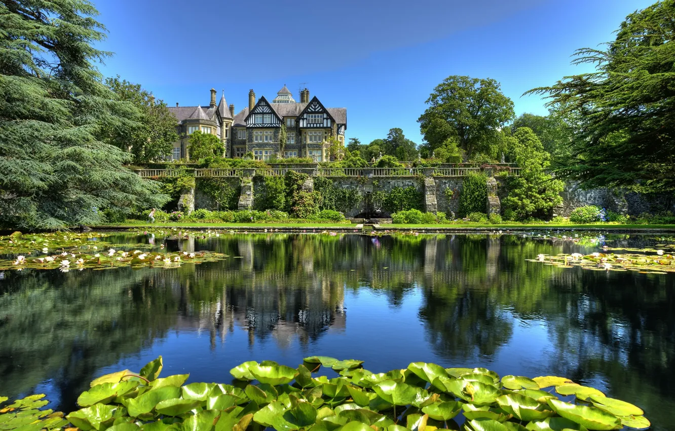 Фото обои листья, пруд, парк, лилии, Англия, England, Уэльс, Wales