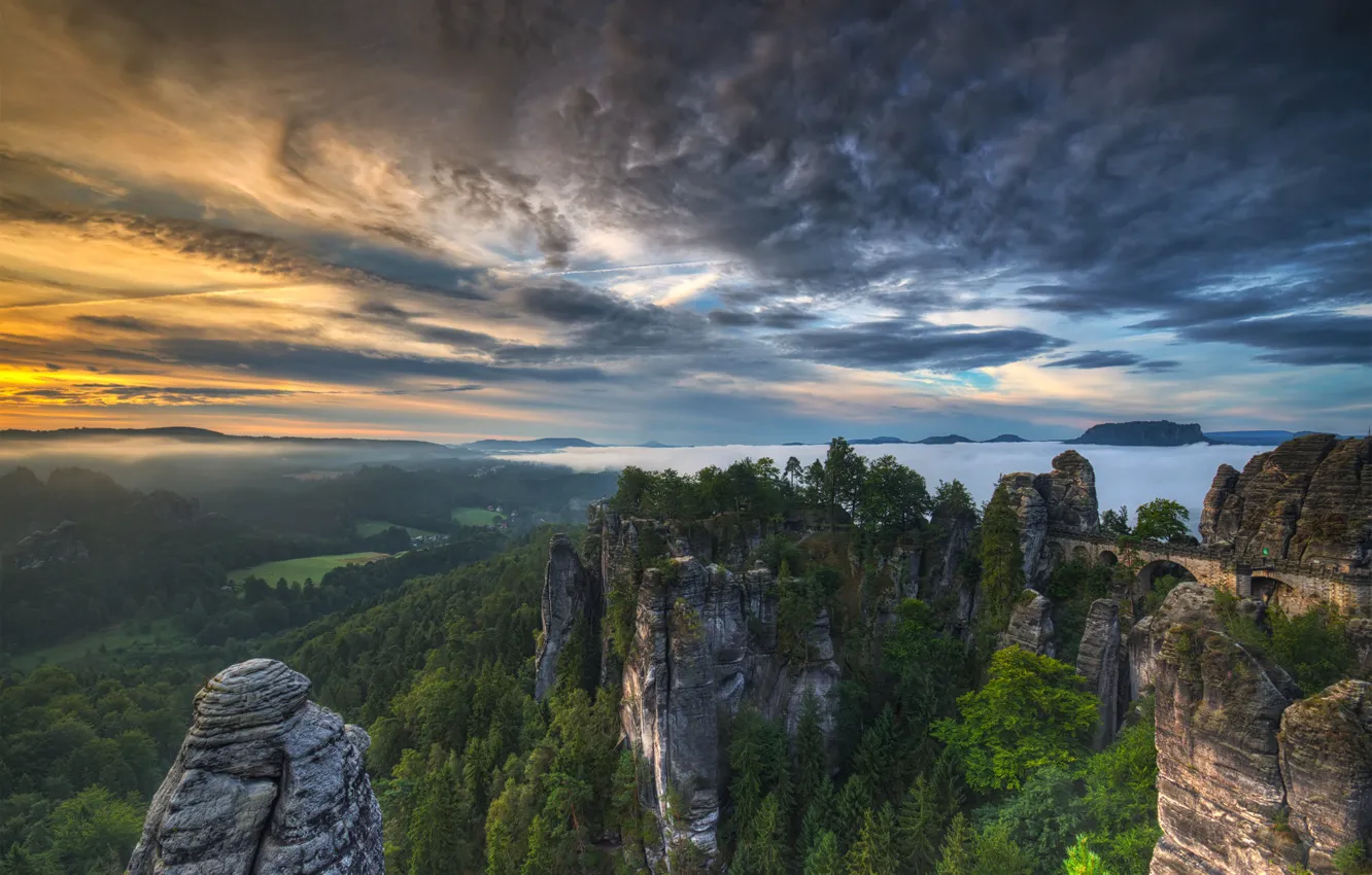 Фото обои лес, облака, горы, мост, Германия, Germany, Саксонская Швейцария, Saxon Switzerland