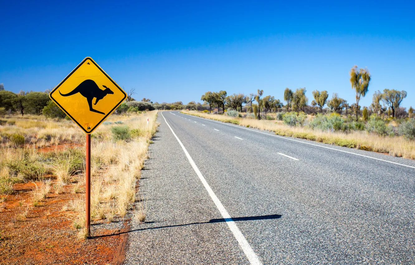 Фото обои caution, street, road sign, Kangaroo sign