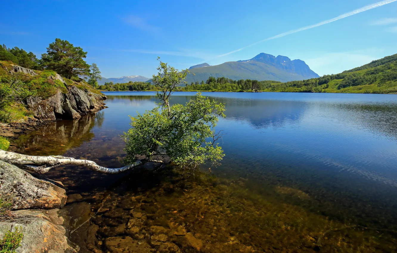 Фото обои горы, озеро, дерево, Норвегия, Romsdal