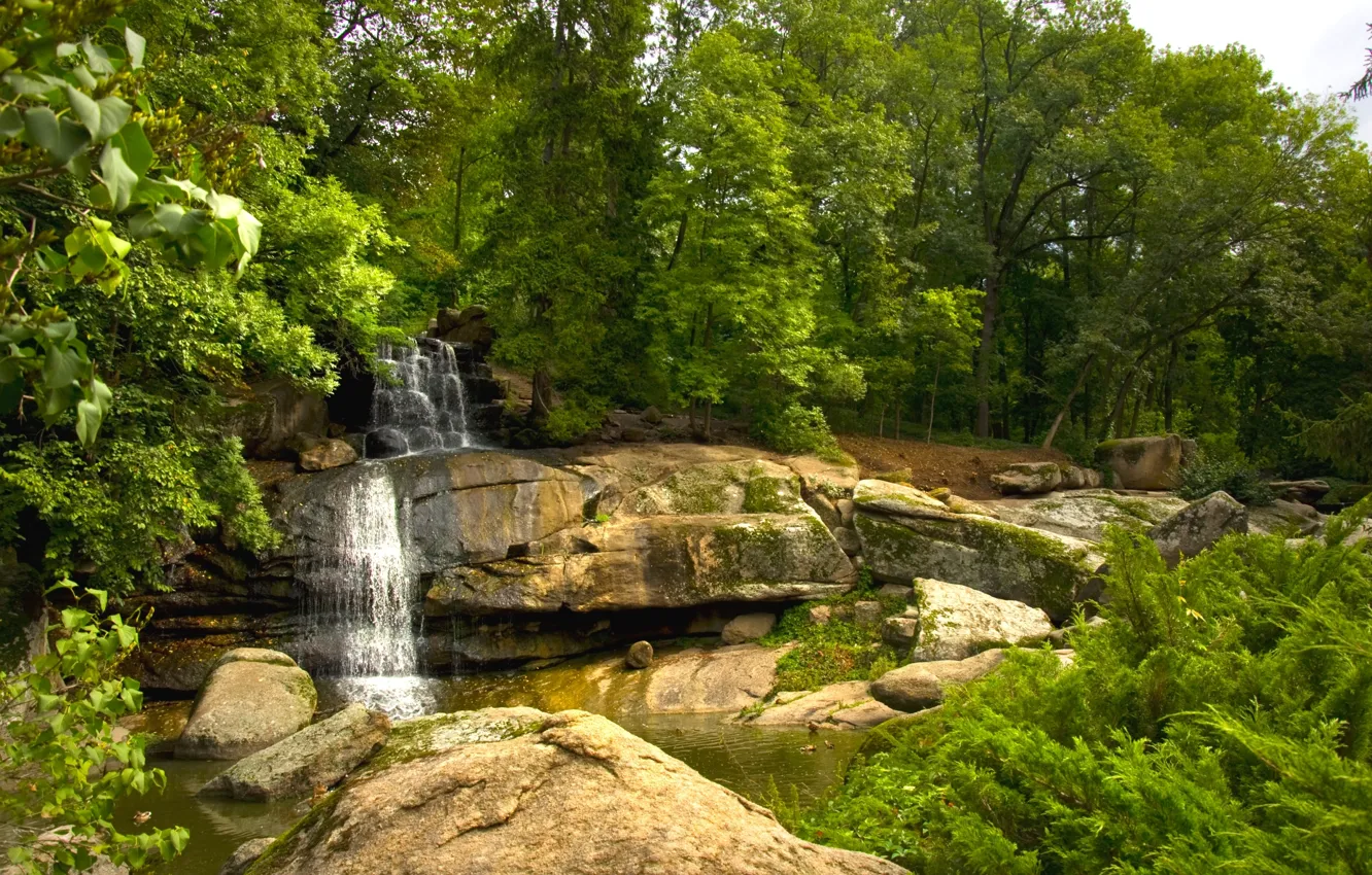 Фото обои вода, деревья, парк, камни, водопад, поток