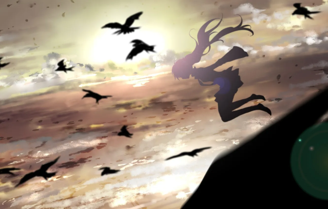 Фото обои небо, облака, закат, птицы, девочка, Hatsune Miku
