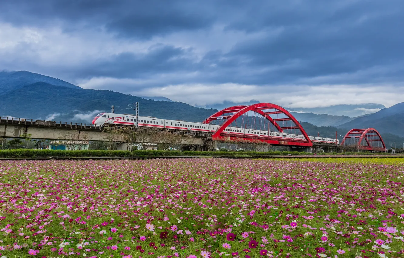 Фото обои поле, пейзаж, мост, поезд, Тайвань