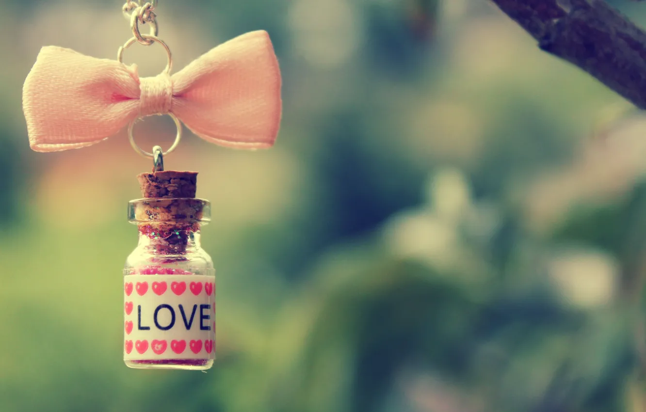 Фото обои любовь, розовый, ветка, сердечки, цепочка, бантик, бутылочка