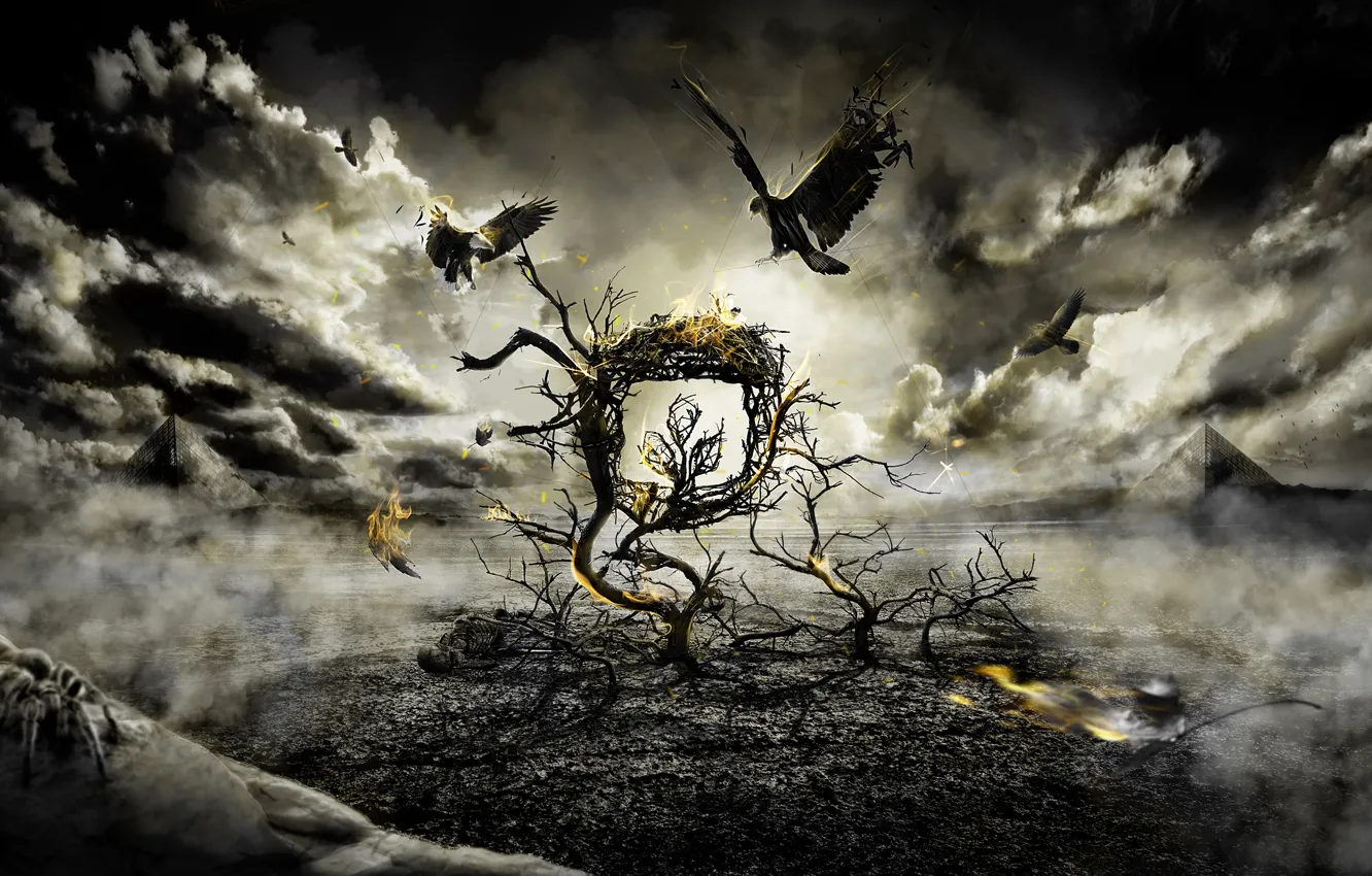 Фото обои птицы, тучи, дерево, огонь, мрак, борьба, паук, Gothic