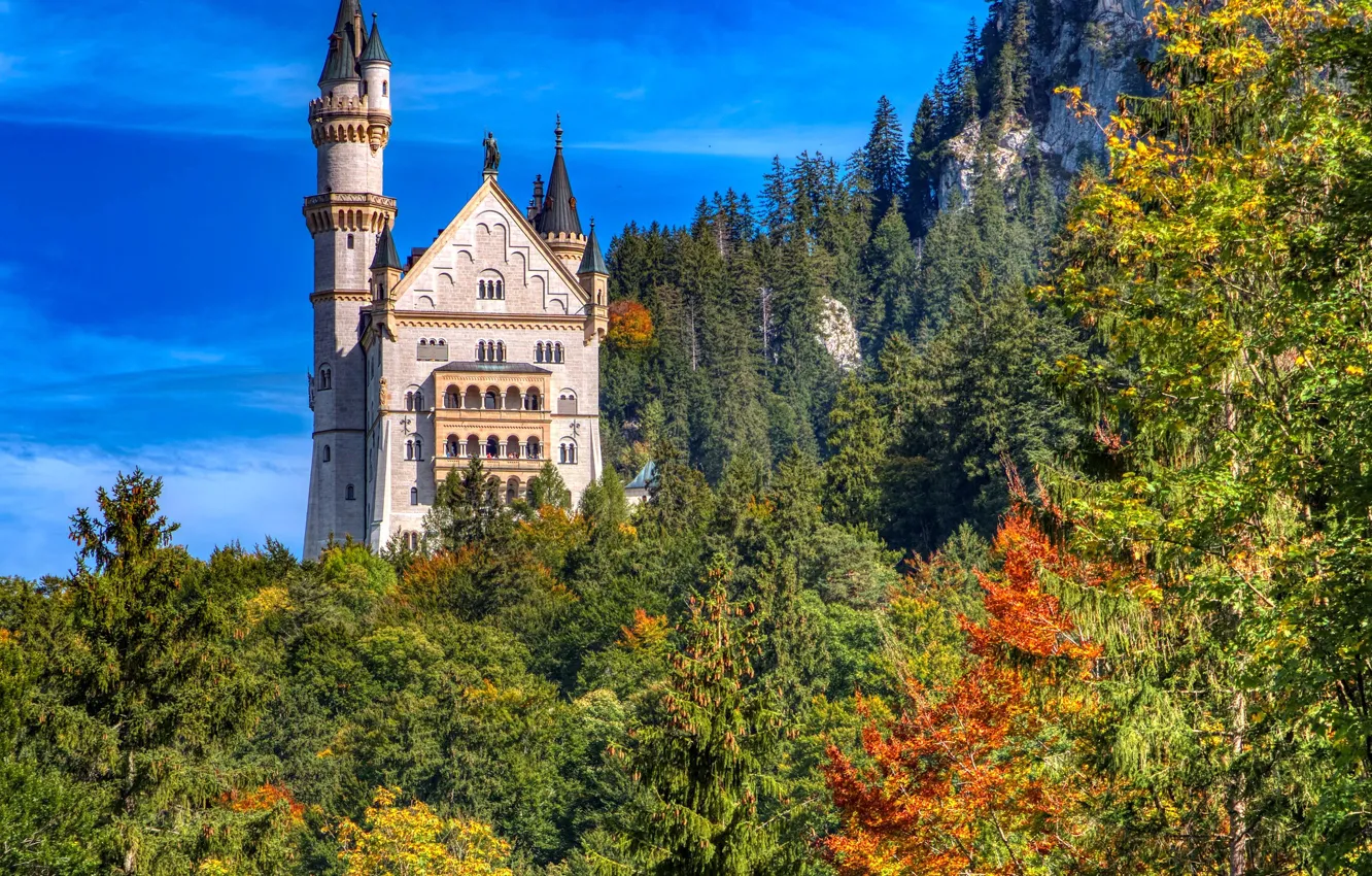 Фото обои осень, лес, скала, замок, Германия, Бавария, Germany, Bavaria