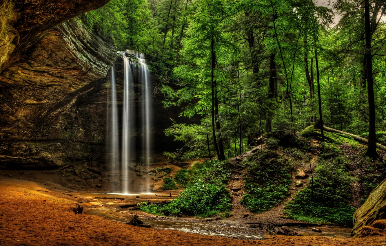 Фото обои лес, водопад, Logan, Огайо, Ohio, Hocking Hills State Park, Национальный парк Хокинг Хиллз, Ash Cave …