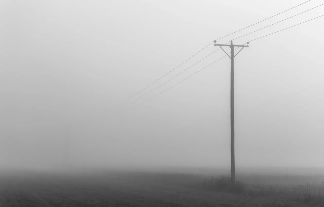 Фото обои поле, туман, линии электропередачи