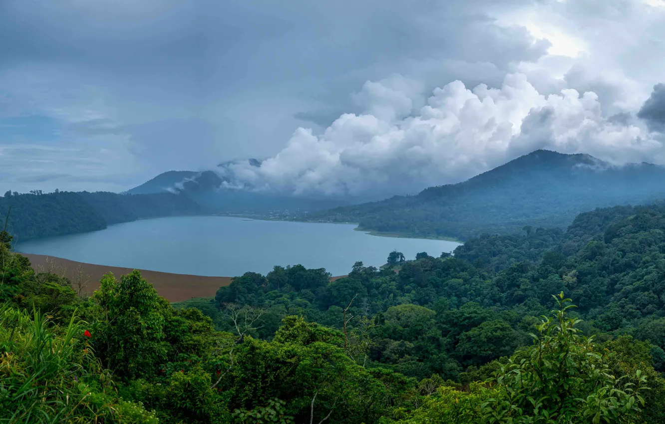 Фото обои лес, облака, горы, туман, озеро, тропики, джунгли, Индонезия