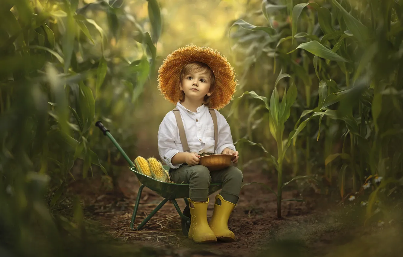 Фото обои природа, заросли, мальчик, кукуруза, тачка, ребёнок, Jansone Dace