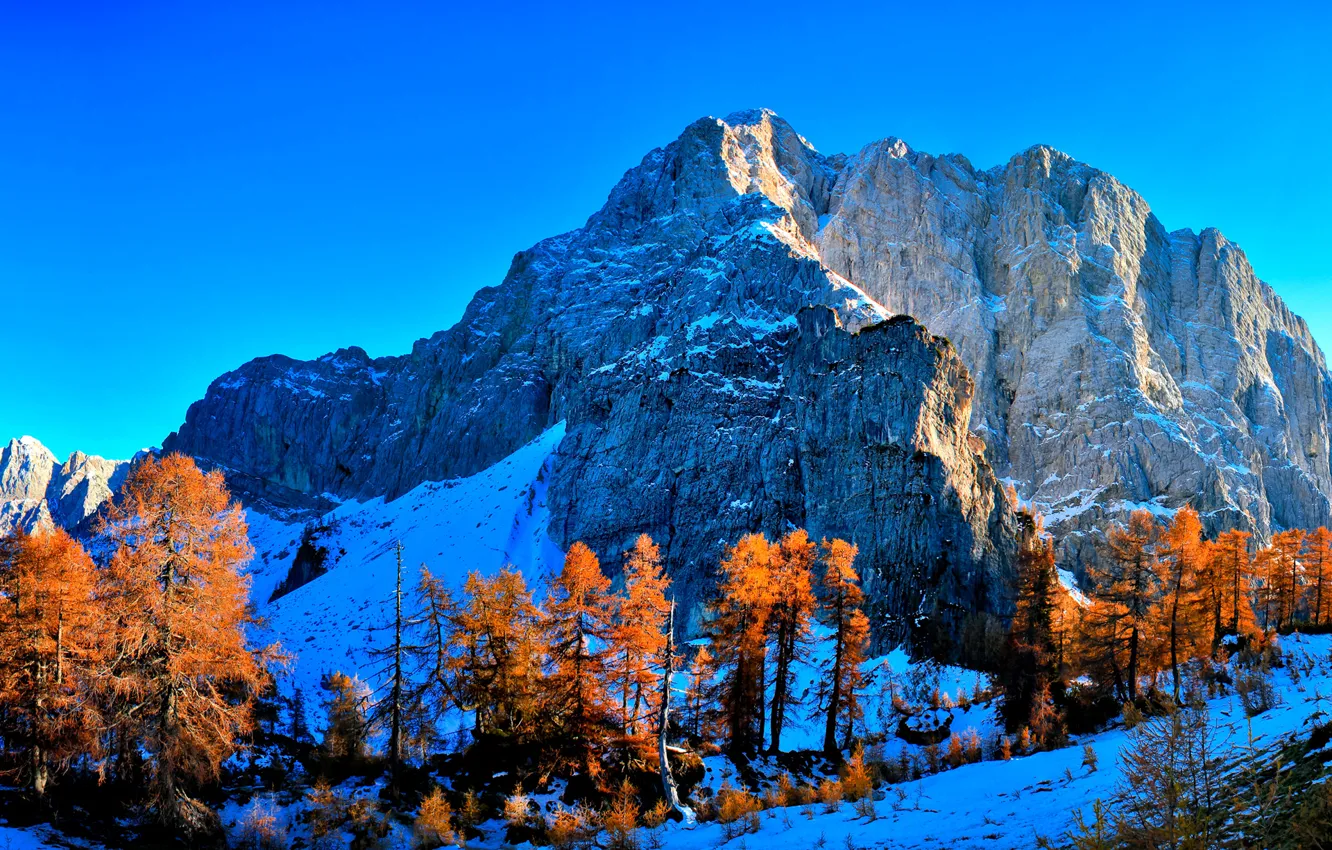 Фото обои осень, небо, снег, деревья, горы, багрянец