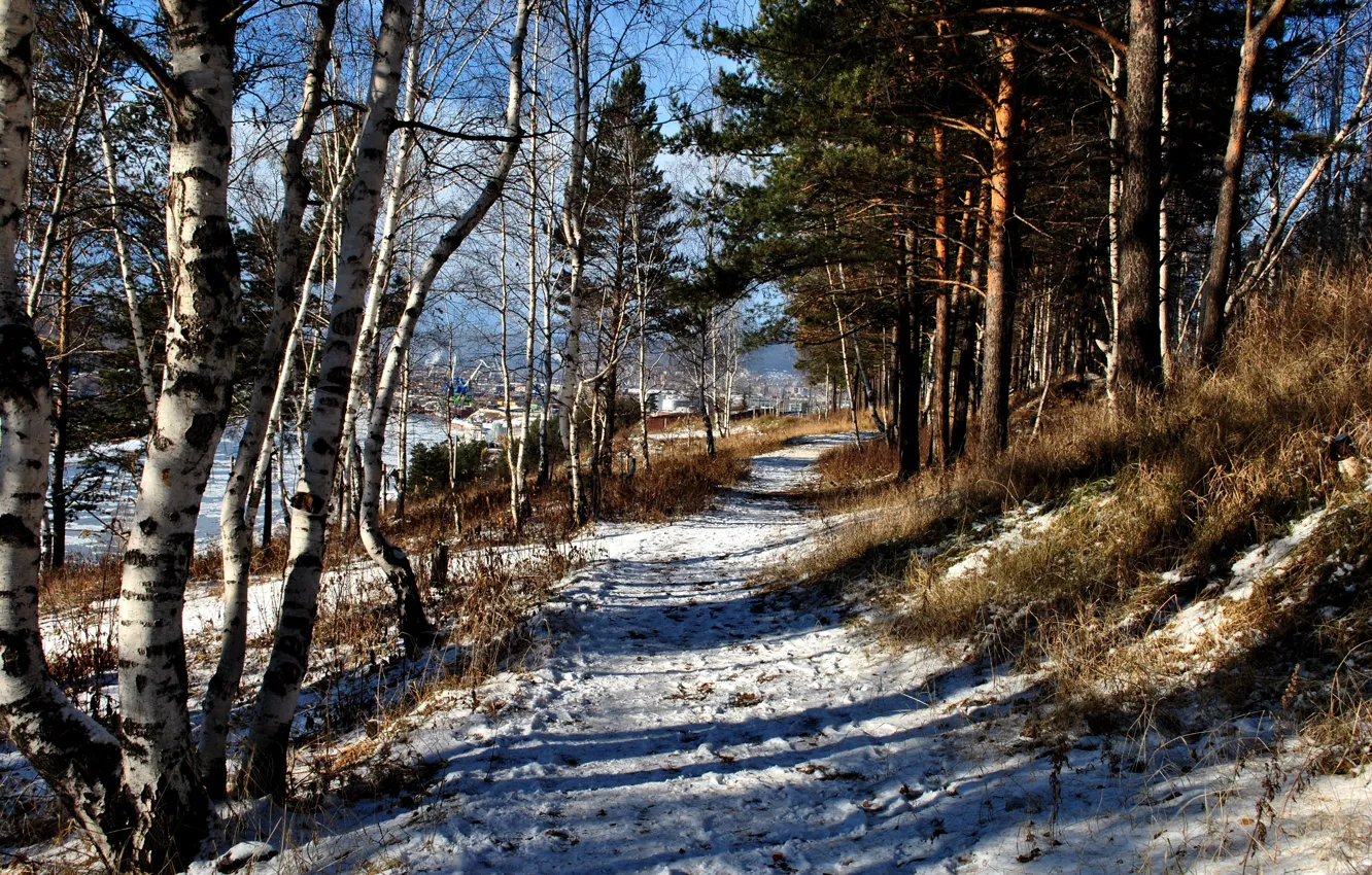 Фото обои зима, лес, снег, дорожка, тропинка, усть-кут