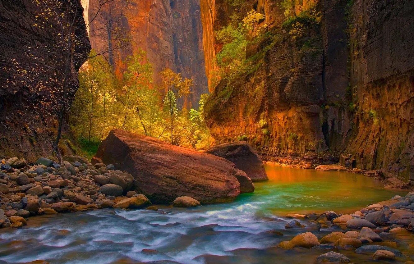 Фото обои осень, камни, скалы, Юта, США, Zion National Park, река Вирджин