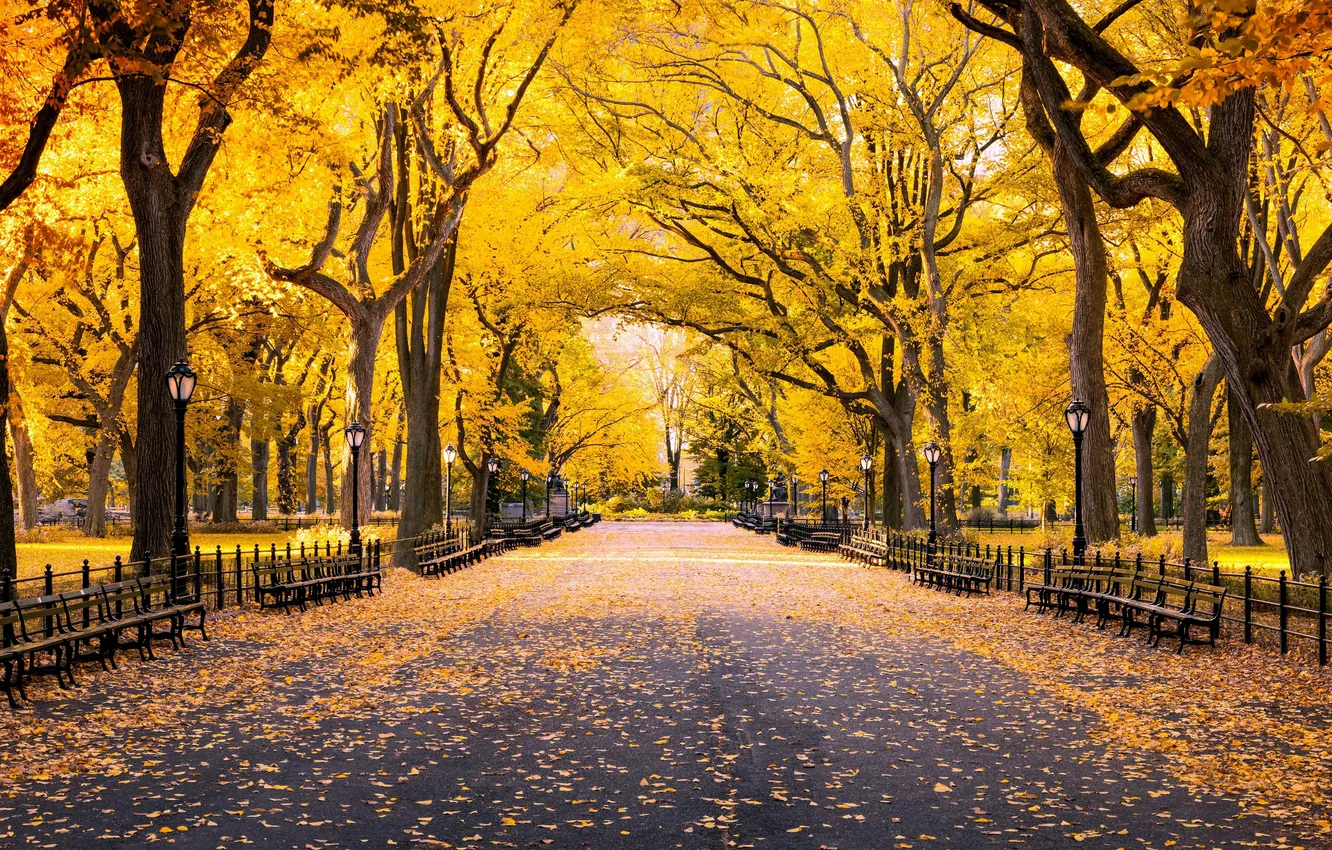 Фото обои Нью-Йорк, Осень, USA, США, Манхэттен, New York, Manhattan, Autumn