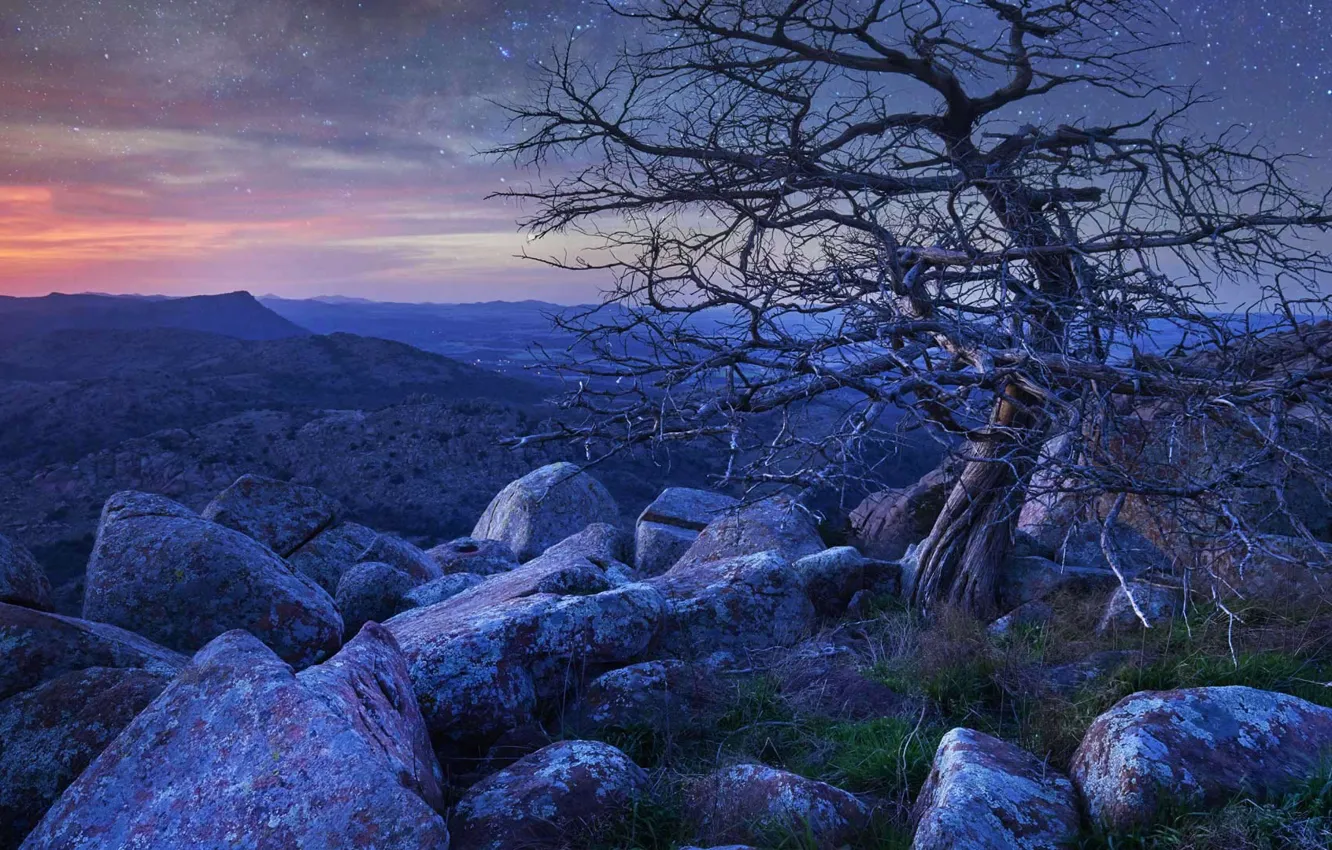 Фото обои горы, камни, дерево, рассвет, США, Оклахома, Маунт-Скотт, Wichita Mountains National Wildlife Refuge