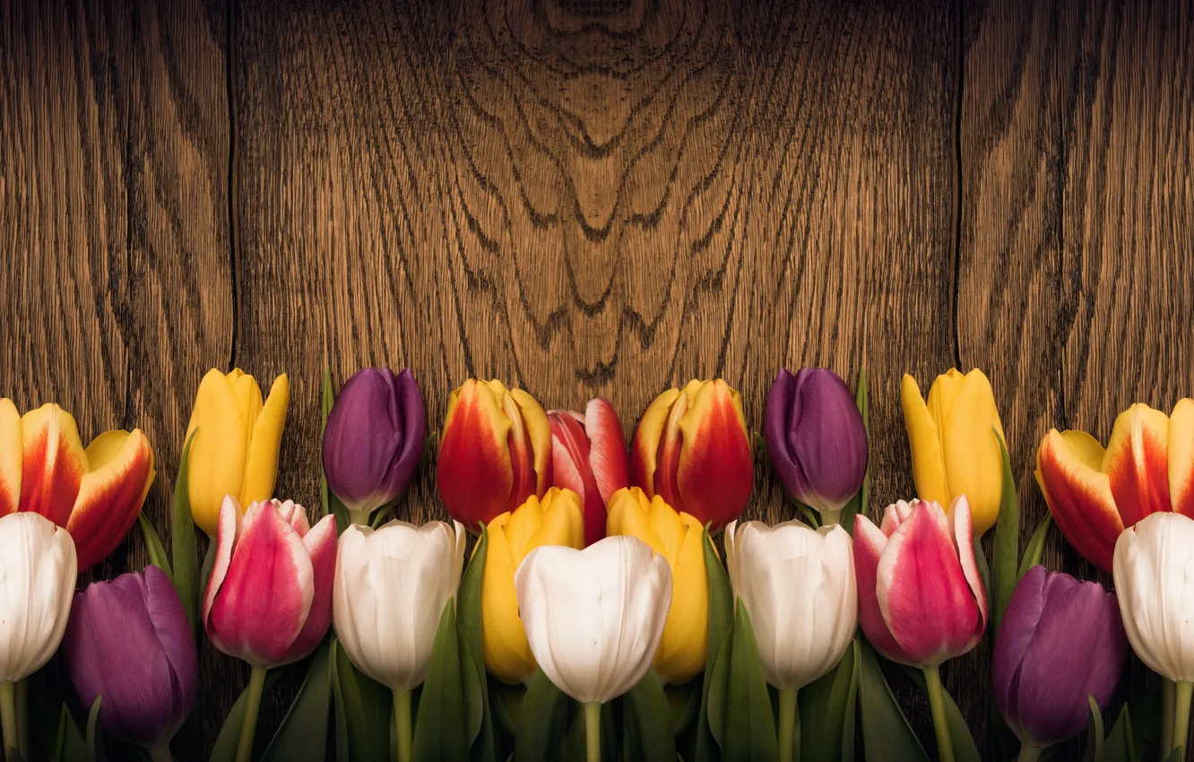 Фото обои цветы, сердце, colorful, тюльпаны, red, love, wood, romantic