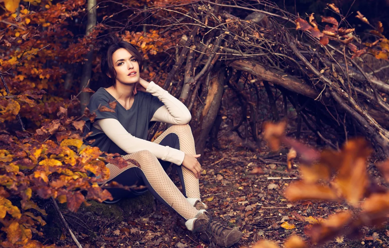 Фото обои осень, взгляд, листья, девушка, ветки, природа, лицо, фон