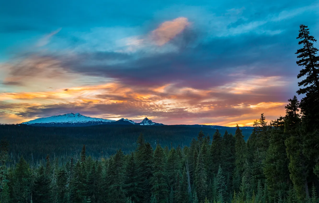 Фото обои лес, пейзаж, горы, sunset, Oregon Cascades, Diamond Peak