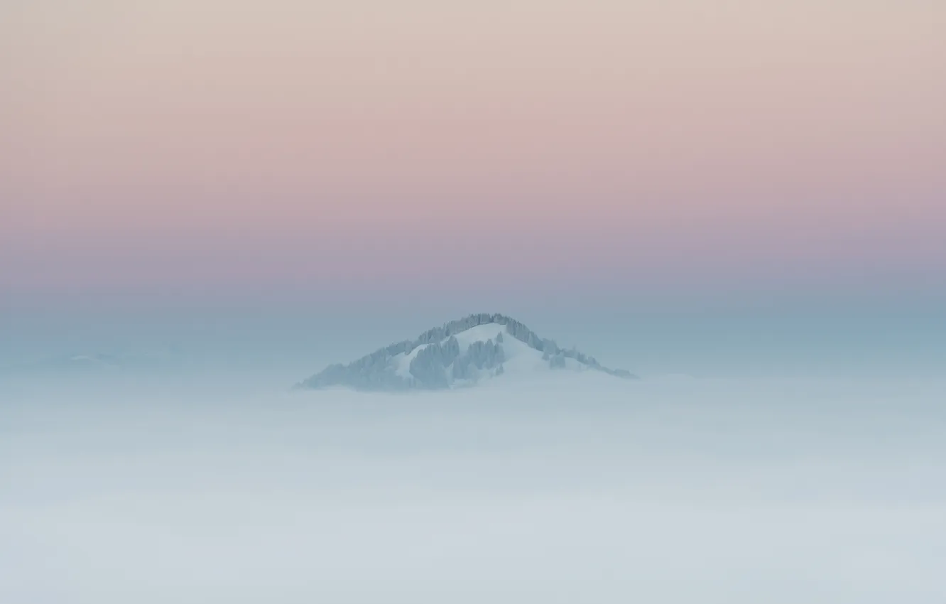 Фото обои зима, пейзаж, туман