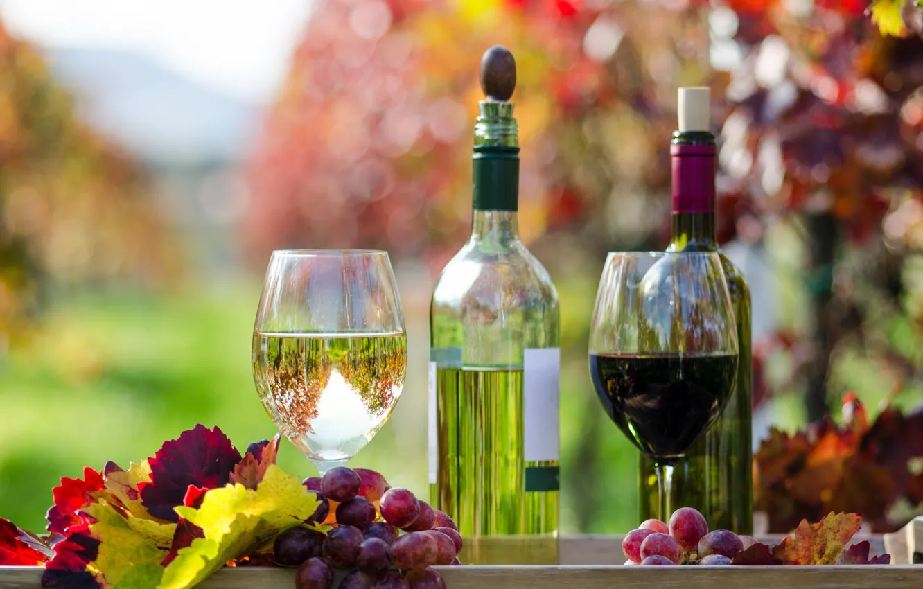 Фото обои осень, листья, вино, красное, белое, бокалы, виноград, бутылки