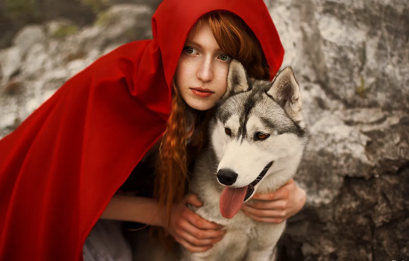 Фото обои волк, плащ, wolf, redhead, cosplay, Red Riding Hood, Косплей, красна шапочка