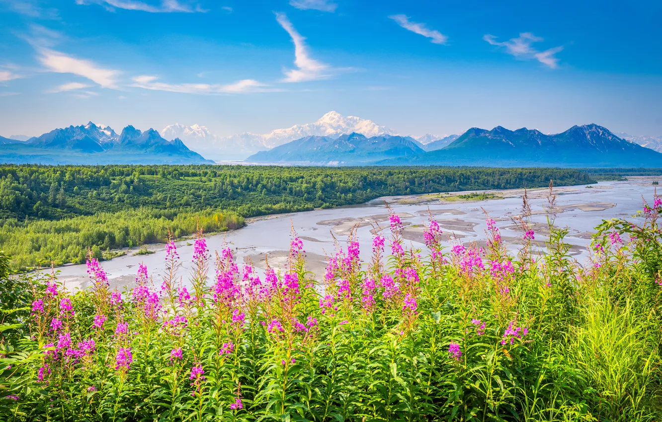 Фото обои Горы, США, Пейзаж, Denali National Park, Парки