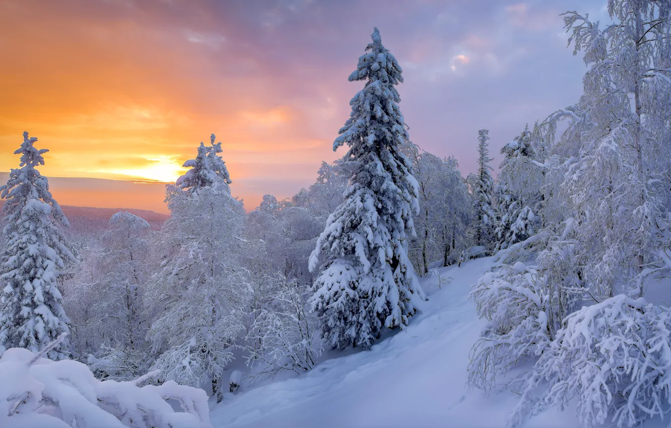Фото обои зима, снег, деревья, пейзаж, закат, природа, Таганай