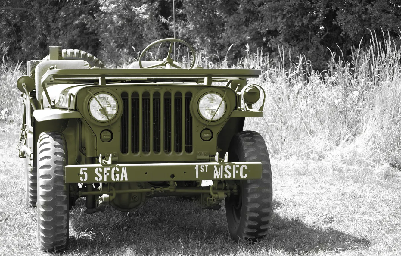 Фото обои трава, войны, автомобиль, передок, армейский, Jeep, повышенной, проходимости