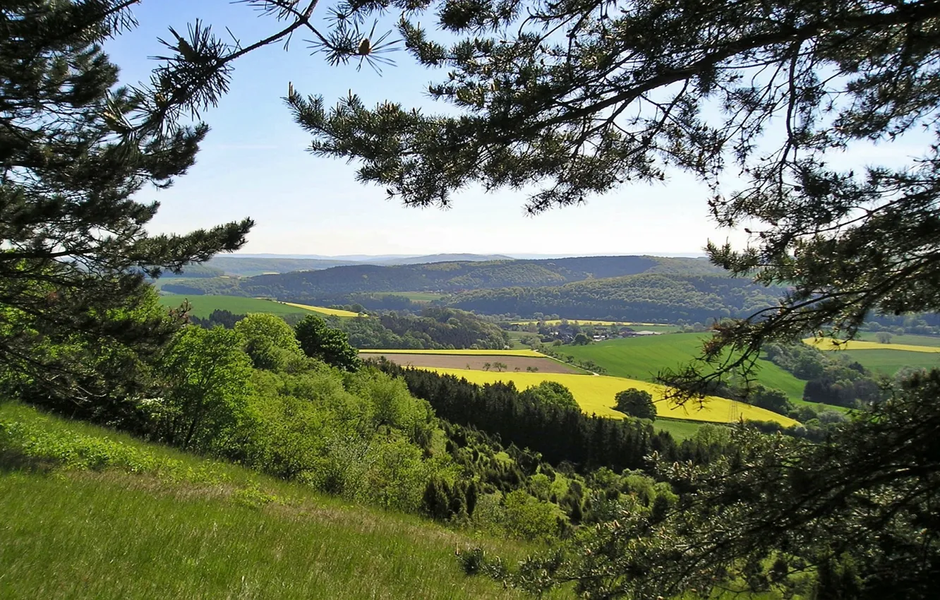 Фото обои hills, spring, rape