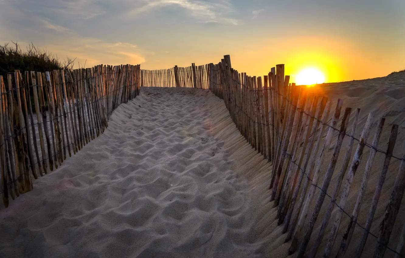 Фото обои пляж, солнце, дюны