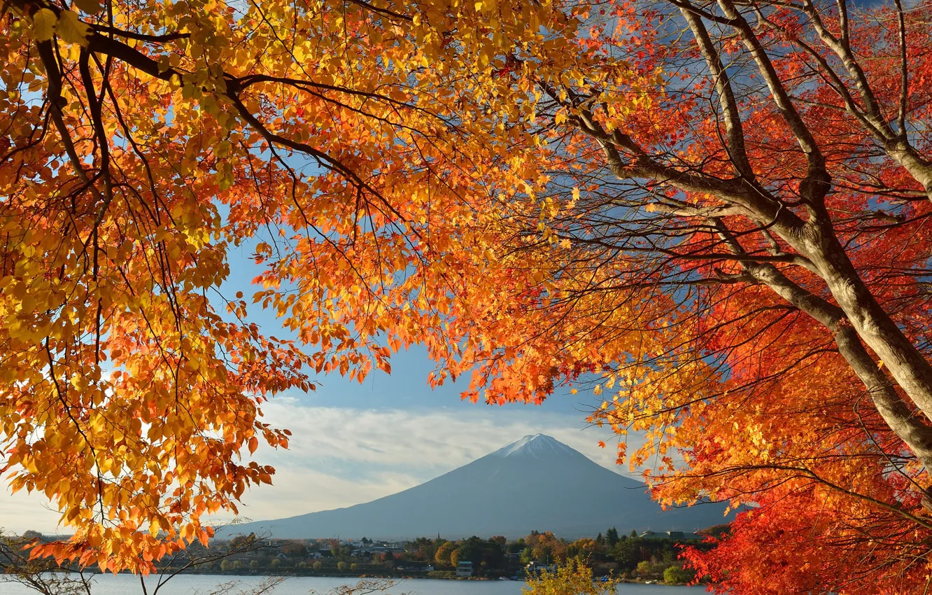 Фото обои осень, небо, листья, деревья, озеро, дом, Япония, гора Фудзияма