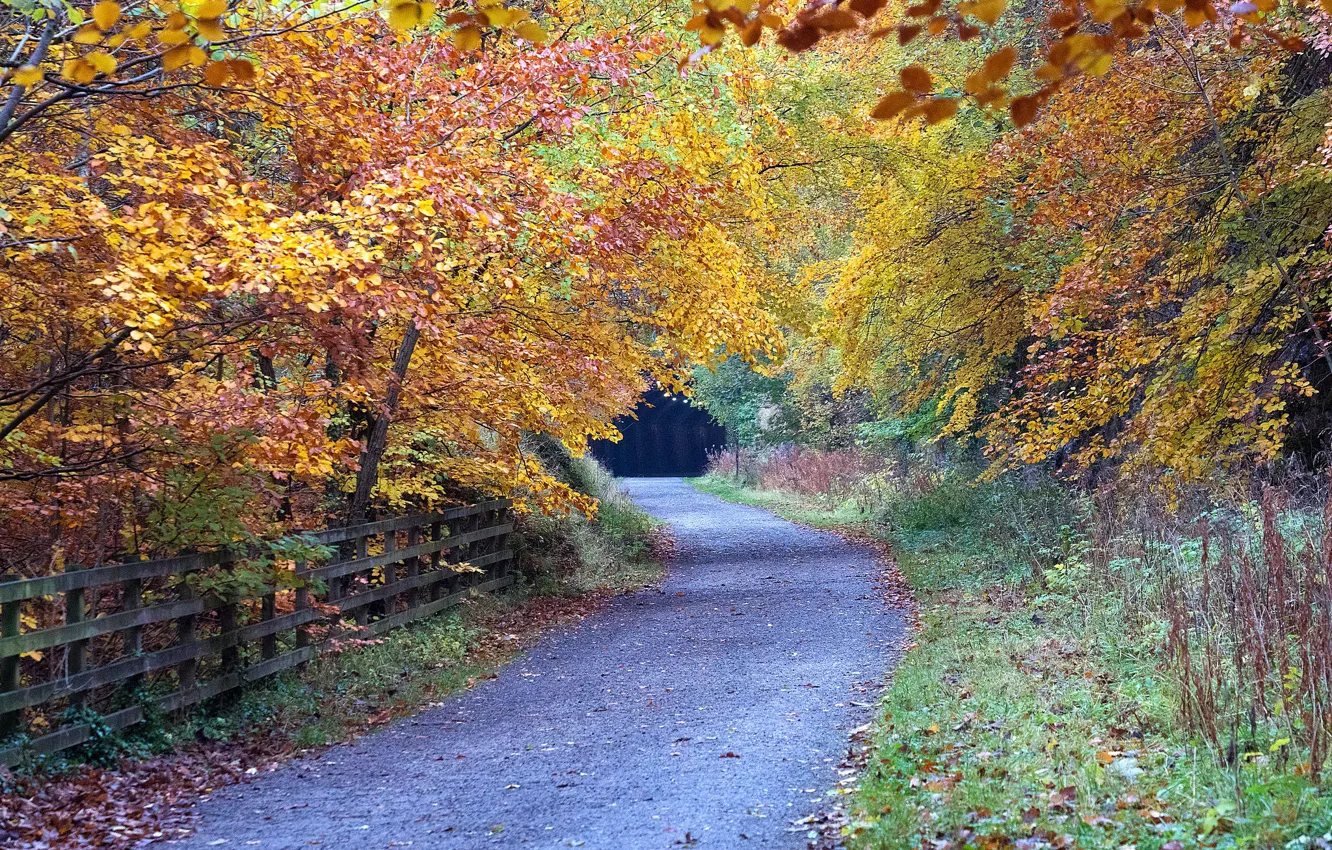 Фото обои дорога, парк, Англия, Derbyshire, Peak District