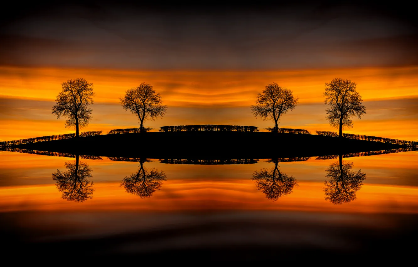Фото обои вода, деревья, отражение, холм
