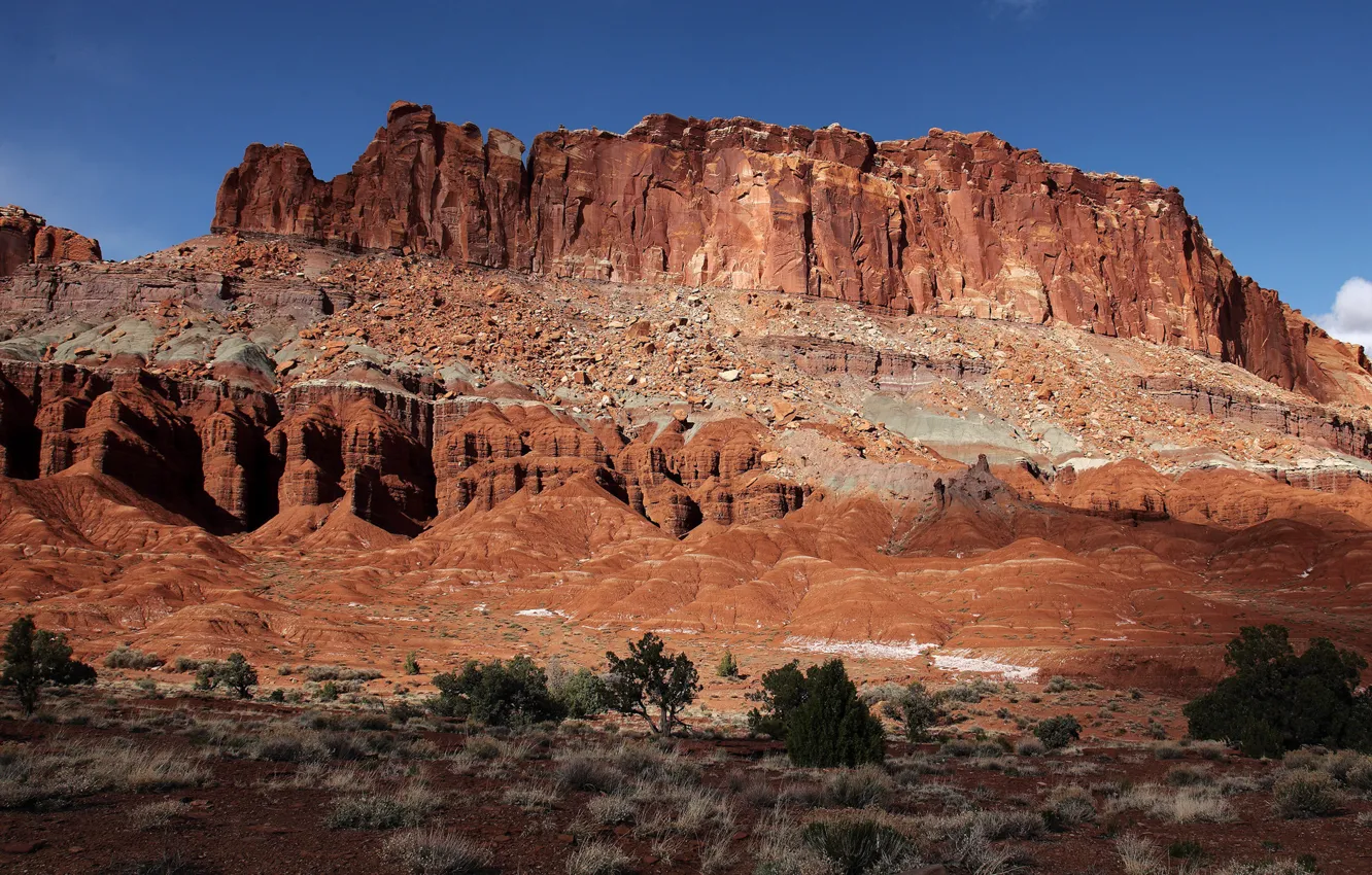 Фото обои desert, rocks, brush, Monument Valley