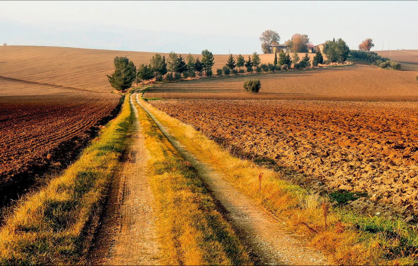 Фото обои дорога, осень, деревья, поля, домики, солнечно