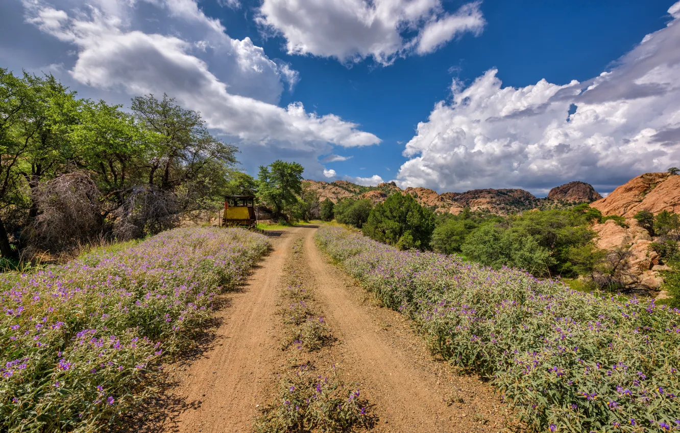 Фото обои дорога, Аризона, США, Prescott Valley