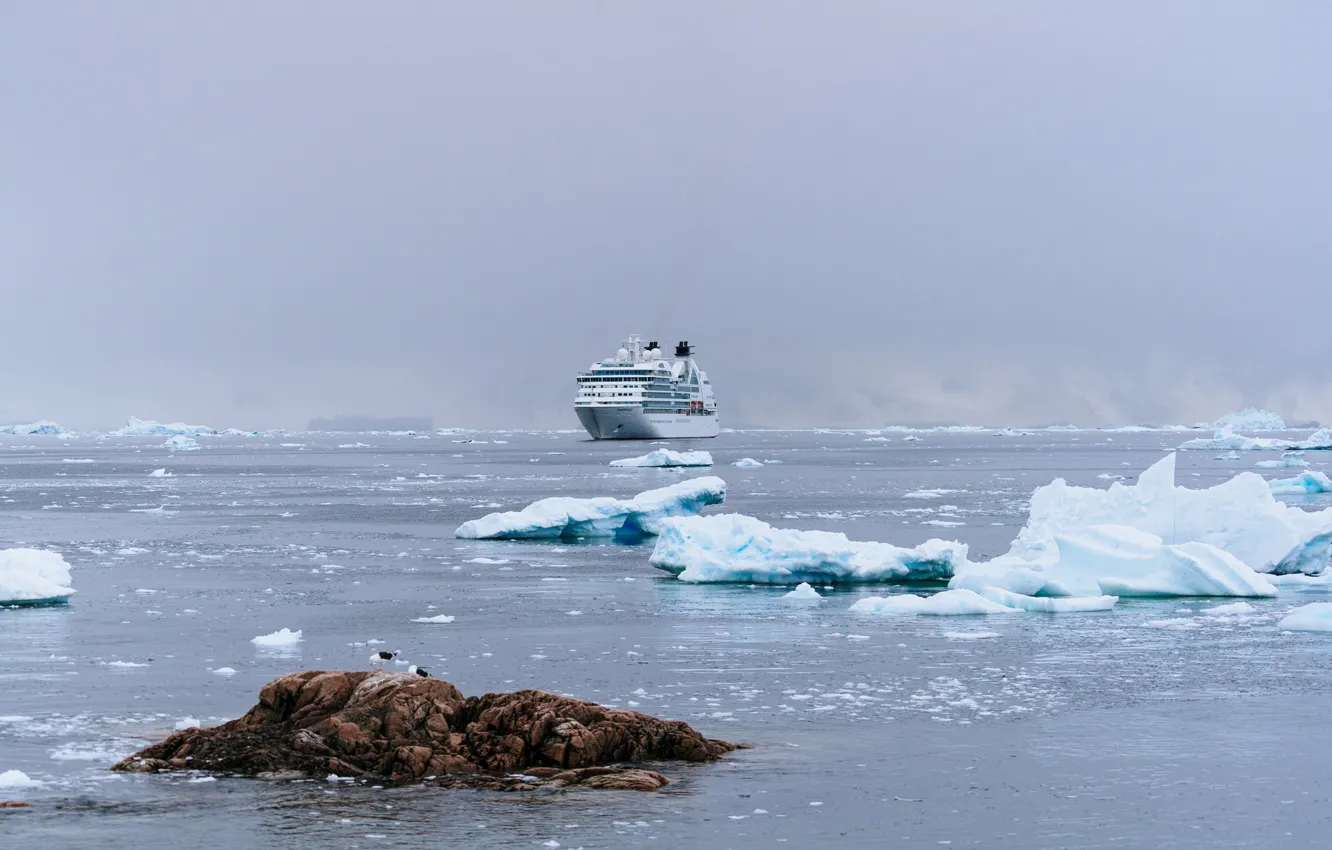 Фото обои rock, fog, iceberg, cloudy, seagulls, islet, ice floes, transatlantic