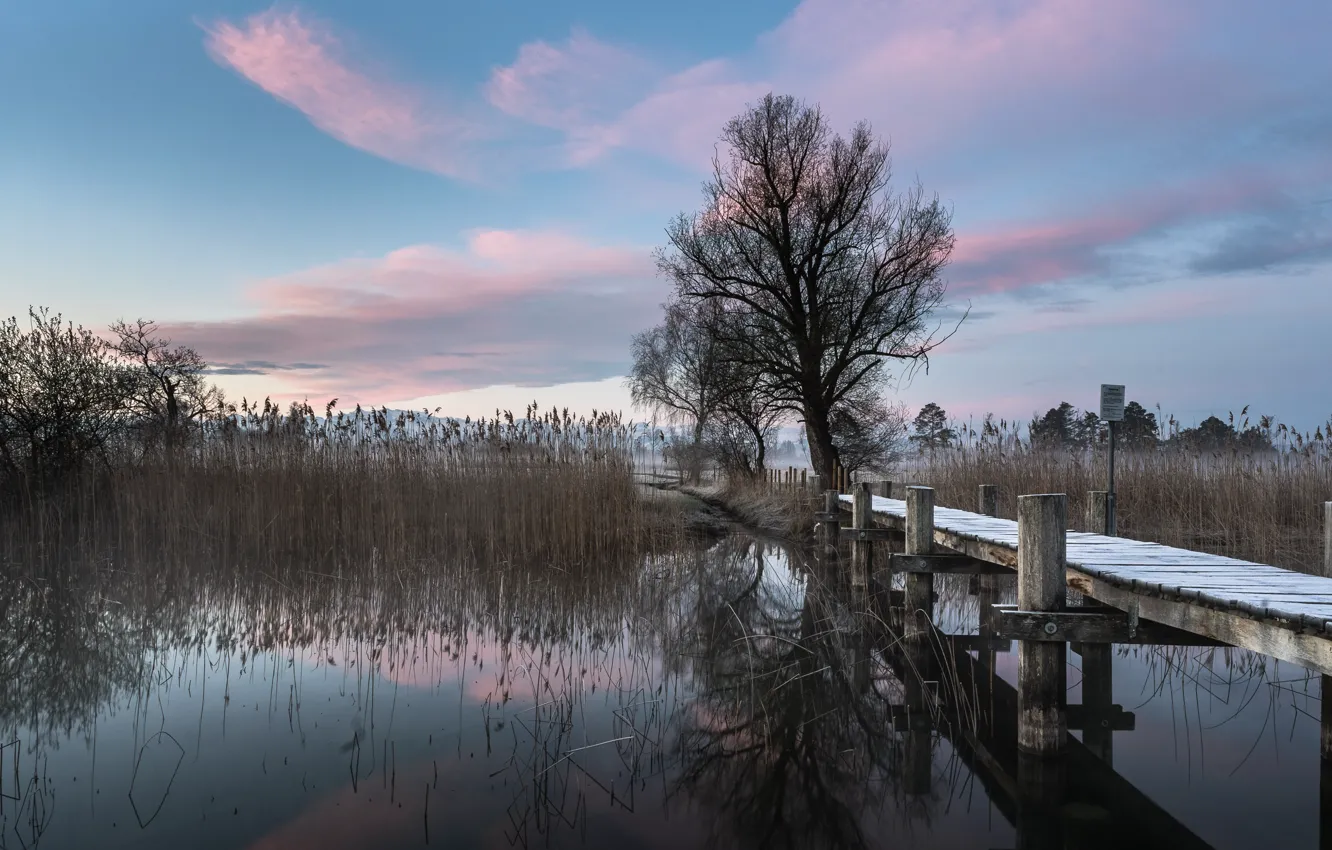 Фото обои мост, природа, озеро