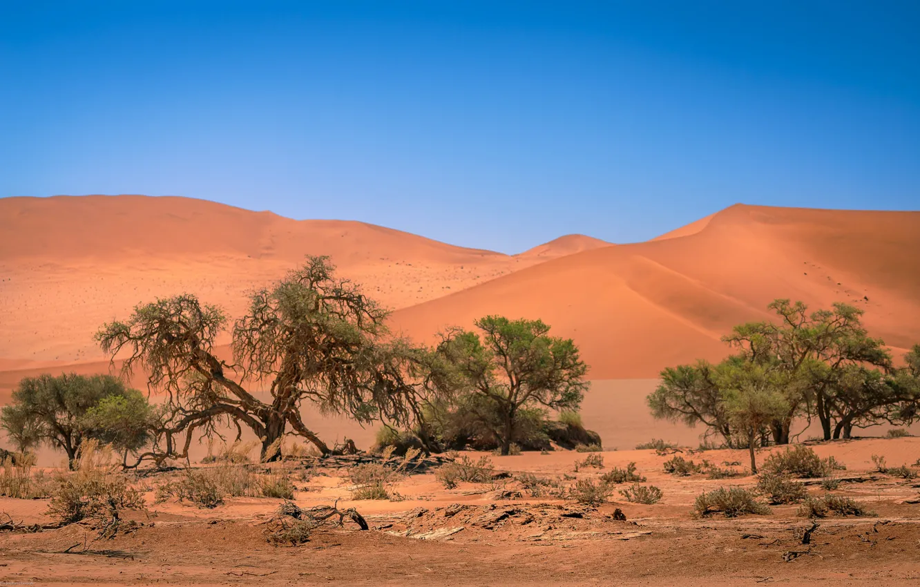Фото обои дюны, Африка, Намибия, пески, Namibia, Sossusvlei