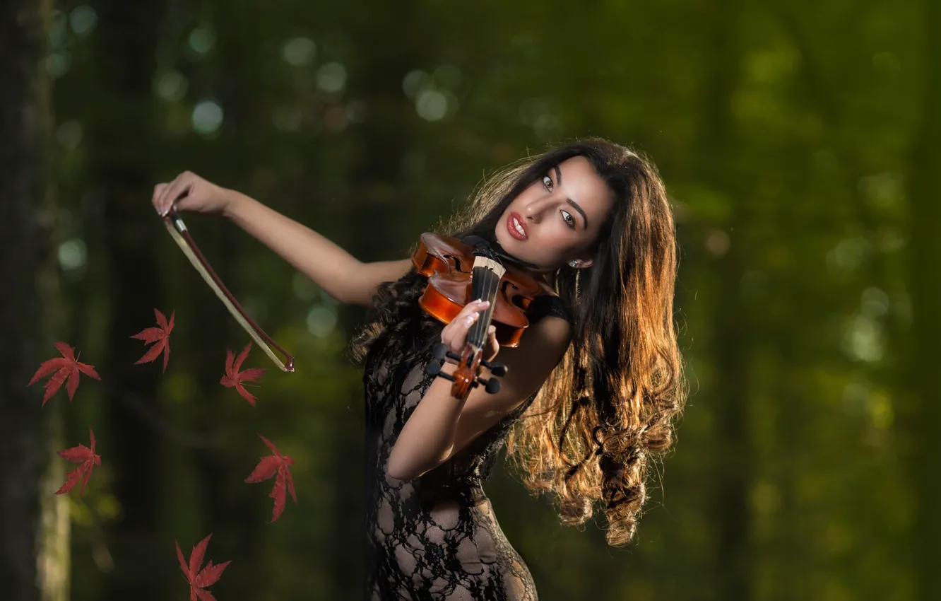 Фото обои листья, скрипка, скрипачка, осенняя мелодия