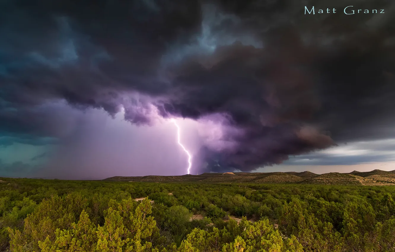 Фото обои лес, тучи, шторм, США, Техас, южный